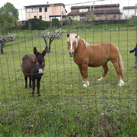 La Cantina Vecchia *