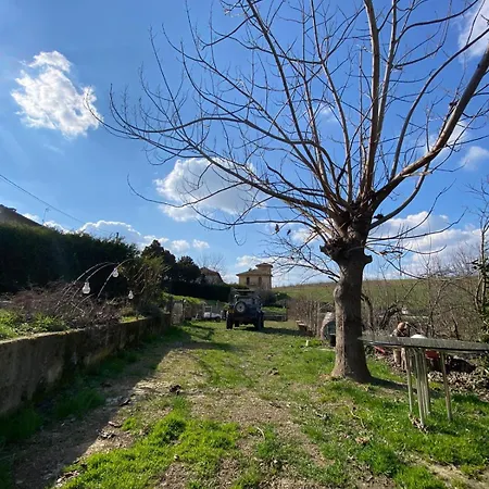 La Cantina Vecchia * Vigliano d'Asti