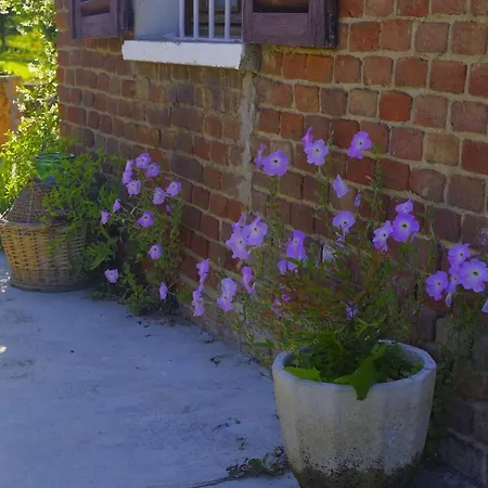 La Cantina Vecchia * Vigliano d'Asti