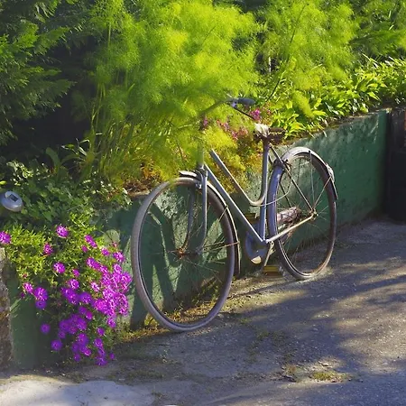 Dom wakacyjny La Cantina Vecchia *