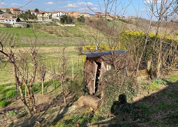 La Cantina Vecchia Vigliano d'Asti