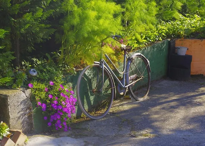 Holiday home La Cantina Vecchia *
